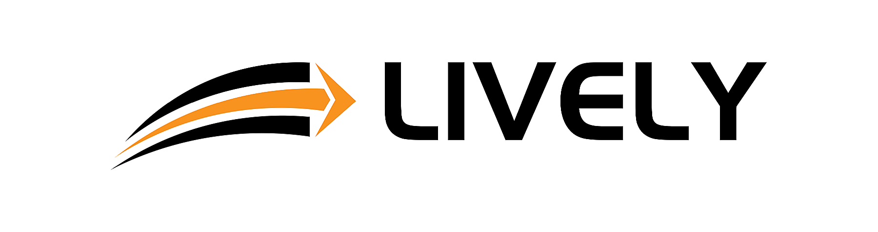 LIVELY CN LLC